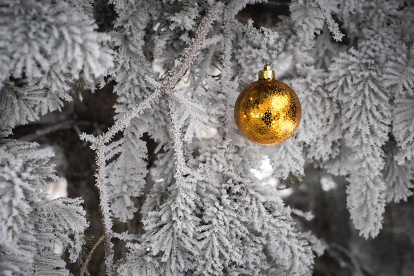 Snow covered fir tree with toy ball — Stock Photo, Image