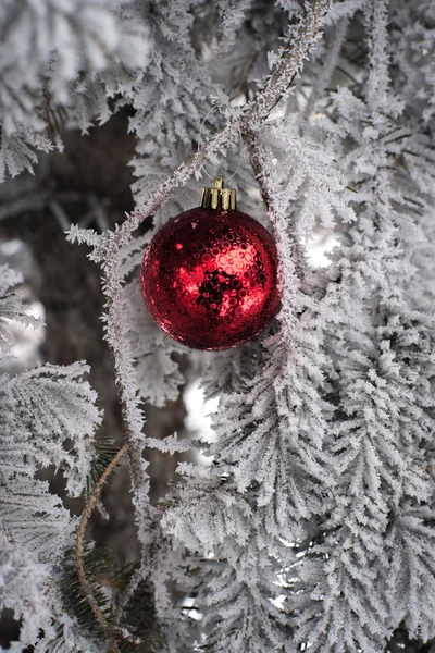 Árbol cubierto de nieve con bola de juguete —  Fotos de Stock