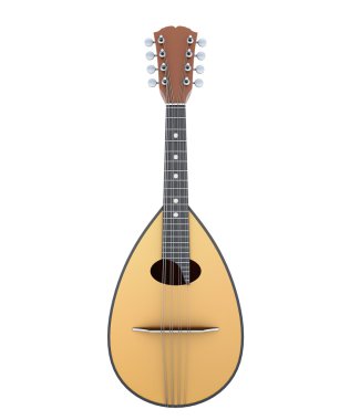 Mandolin front view