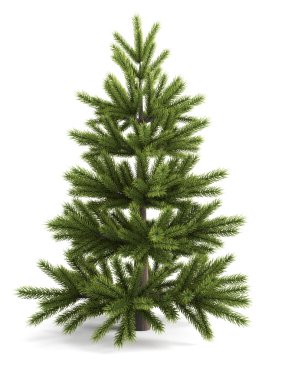 Beyaz arka planda noel ağacı.