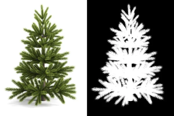 Weihnachtsbaum neben einer schwarz-weißen Maske zur Isolation — Stockfoto