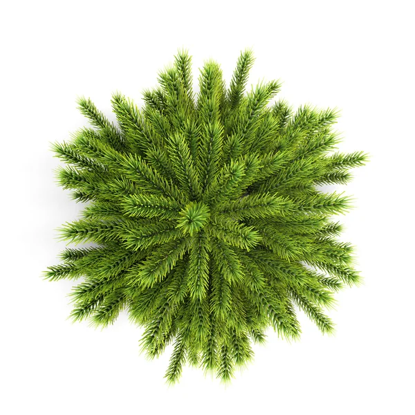 Top view christmas tree without ornaments on a white — Stock Photo, Image