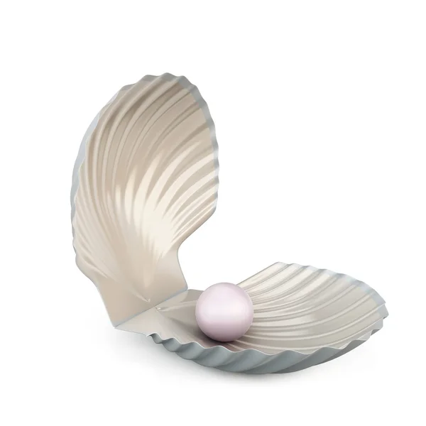 Shell pearl isolated on white background. — Stock Photo, Image