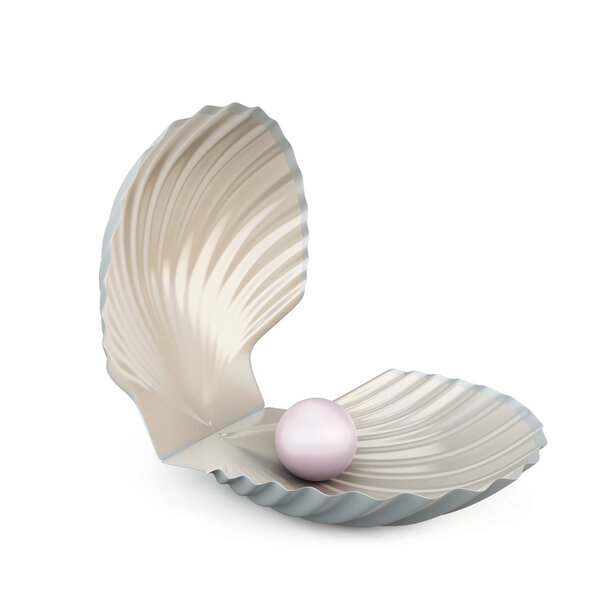 Shell pearl isolated on white background.
