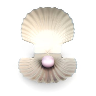 Beyaz arka plan üzerinde izole kabuk inci
