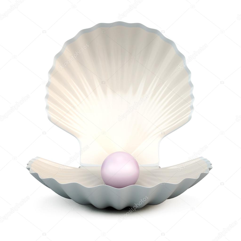 Shell pearl on a white