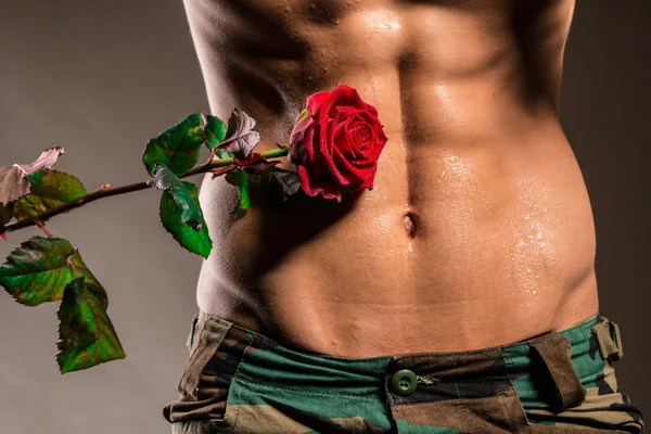 Muž s svalové bříško držení růže — Stock fotografie