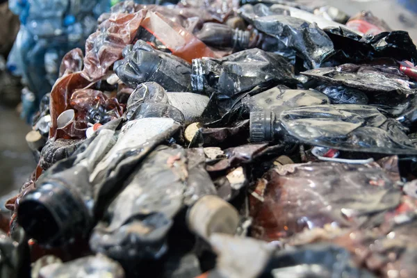 Segregated plastic bottles recycling — Stock Photo, Image