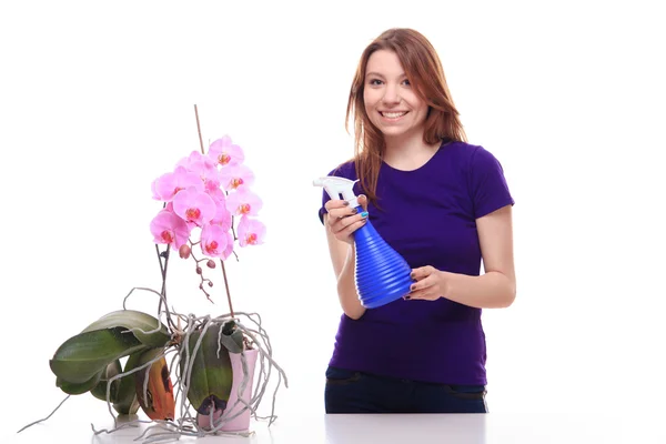 Pretty girl watering orchid flower with spray — Stock Photo, Image