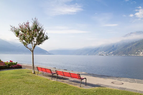 Bancos y árboles en el lago suizo — Foto de Stock