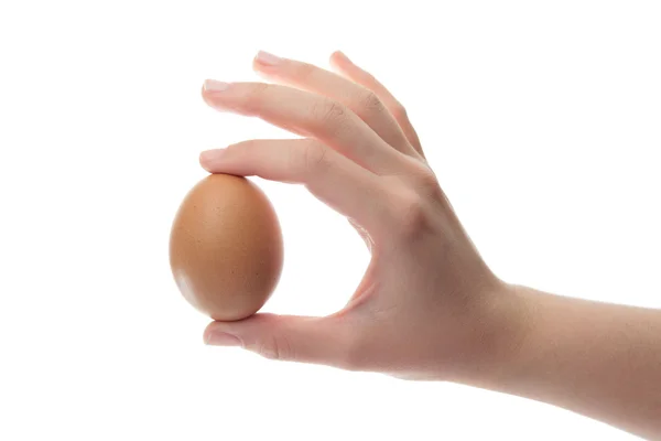 Рука держит куриное яйцо — стоковое фото