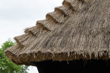 Kırsal üzerinde geleneksel thatched çatı