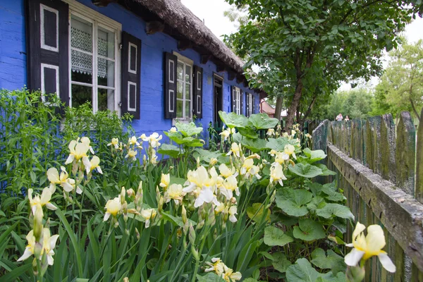 古老的乡村小屋和鲜花在沃维奇，波兰 — 图库照片