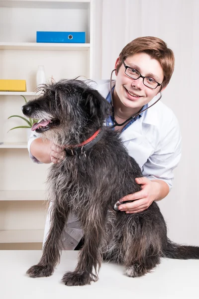 Dierenarts onderzoeken een hond met een stethoscoop op kantoor — Stockfoto