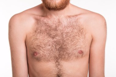 Hairy man chest  clipart