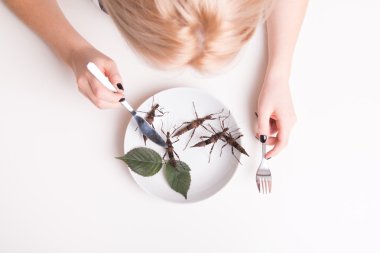 Plate full of insects in insect to eat restaurant clipart