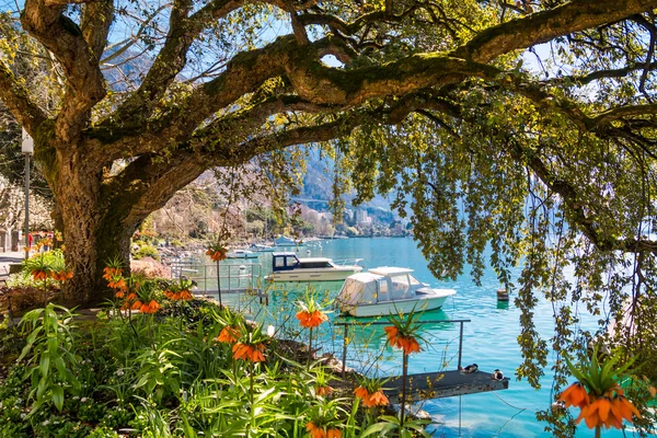 Riviera Montreux a lacului Geneva Imagine de stoc