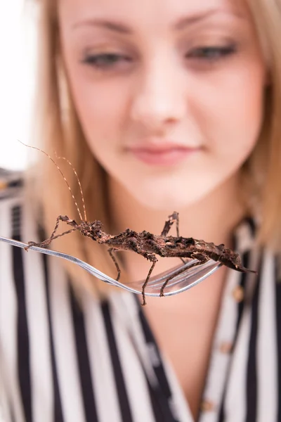 Mujer comiendo insectos con tenedor — Foto de Stock