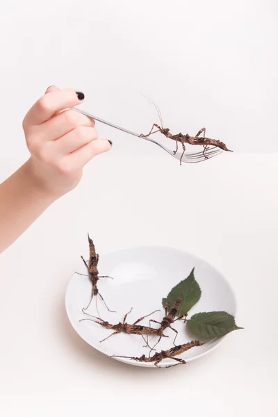 Jeść robaki z widelcem w restauracji — Zdjęcie stockowe