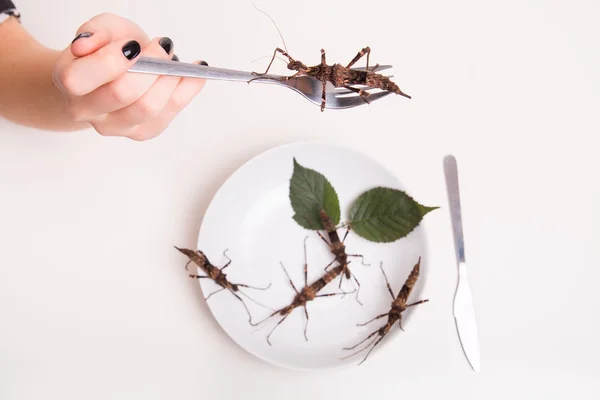 Eating insects in restaurant — Stock Photo, Image