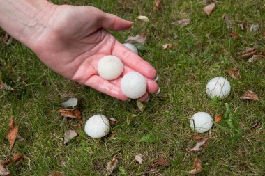 Fırtınadan sonra Selam olsun