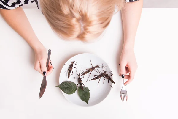 Assiette pleine d'insectes — Photo