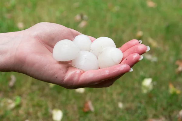 Salve después de la tormenta — Foto de Stock