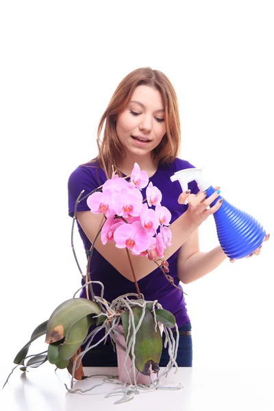 Девушка поливает цветы орхидеи — стоковое фото