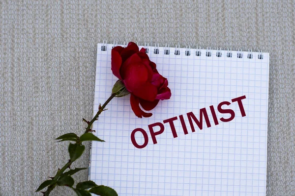Optimist Szavak Egy Fehér Papírlapon Vörös Rózsával Szürke Háttérrel Információs — Stock Fotó