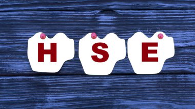 Güzel mavi bir zemin üzerine iğnelenmiş kağıtlar üzerinde HSE (Sağlık, Güvenlik ve Çevre) kelimesi konsepti. İş konsepti