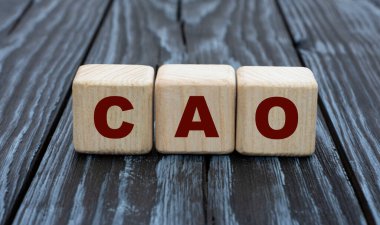 konsept kelime CAO (Muhasebe Şefi) koyu gümüş ahşap arka planda parmaklıklar üzerinde