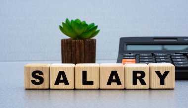 SALARY - kelime ahşap küpleri karşı hesap makinesi ve kaktüs. İş konsepti