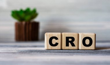 CRO (Dönüşüm Oranı İyimserliği) - tahta küplerle ilgili kelime arka planda güzel boşanmalar ve kaktüslerle birlikte bir ışık panosunun arka planına karşı. İnternet kavramı