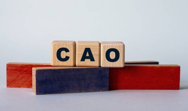 CAO - açık arkaplanda renkli bir bloğun arka planında tahta küplerin kısaltması. İş konsepti