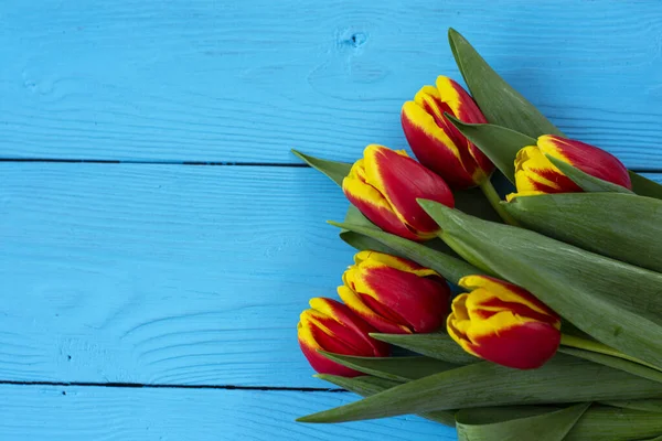 Bouquet of red and yellow tulips on a blue textured background. Holidays concept