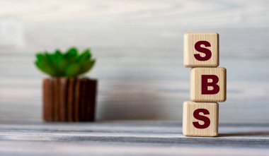 SBS (Yapısal İş İstatistikleri) - ahşap küplerdeki kısaltmalar, arka plandaki güzel boşanmalar ve kaktüslerle birlikte. İş konsepti