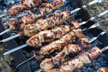 Beef Skewers being cooked on open fire.