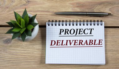 PROJECT DELIVERable - kelimeler bir kalemle, tahta bir arka planda bir kaktüsle birlikte bir deftere yazılır. Bilgi kavramı