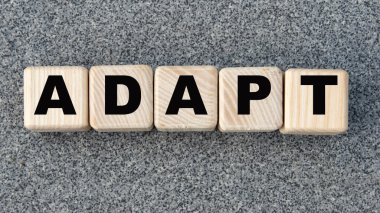 ADAPT - gri arka planda tahta küplerle ilgili bir kelime. Bilgi kavramı