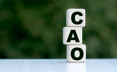 Küpler ve güzel yeşil arka planda CAO kavramı