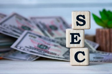 SEC (Menkul Kıymetler ve Borsa Komisyonu) - bir kaktüs ve banknotların arka planındaki tahta küplerin kısaltması. İş konsepti