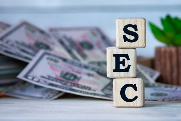 Sec Securities Exchange Commission Acrónimo Sobre Cubos Madera Fondo Cactus Imágenes de stock libres de derechos