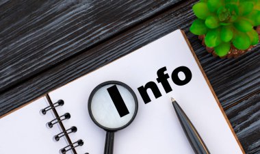 INFO. Not defterine bir büyüteç, kalem ve kaktüs ile yazılmış bir kelime. İş konsepti.