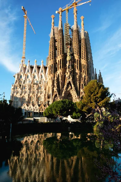 Barselona, İspanya - 21 Mart 2018: Barcelona 'daki Sagrada Familia katedraline bakın. İspanya