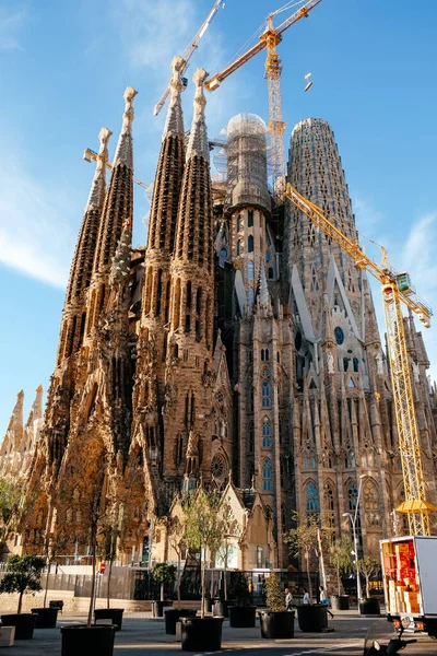 Barselona, İspanya - 21 Mart 2018: Barcelona 'daki Sagrada Familia katedraline bakın. İspanya.