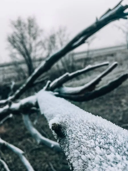 Барвистий зимовий лід сніг фото фону — стокове фото