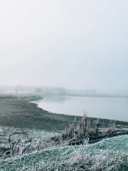 Inverno colorido árvore de gelo fotos de neve fundo — Fotografia de Stock