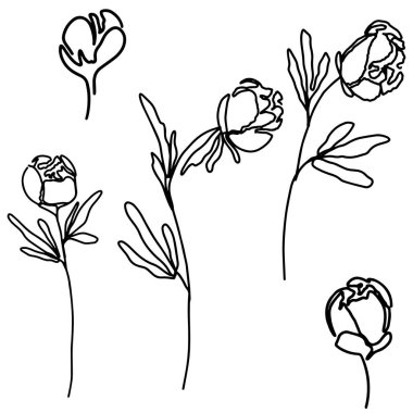 Güzel bir el çizimi. Sanat eseri çiçekleri. 