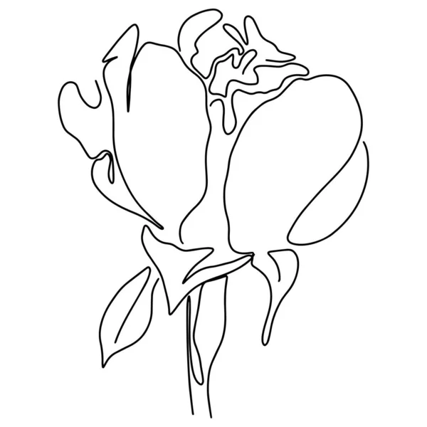 Красива намальована рука Лінія мистецтва монолітні квіти — стоковий вектор
