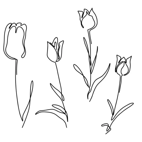 Vacker hand dras Linje konst monolin blommor — Stock vektor